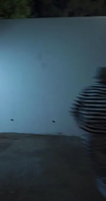 Video 6797767532389403910