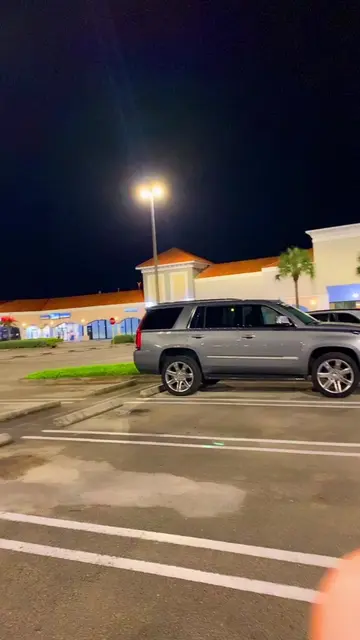 Video 6879138182437342470