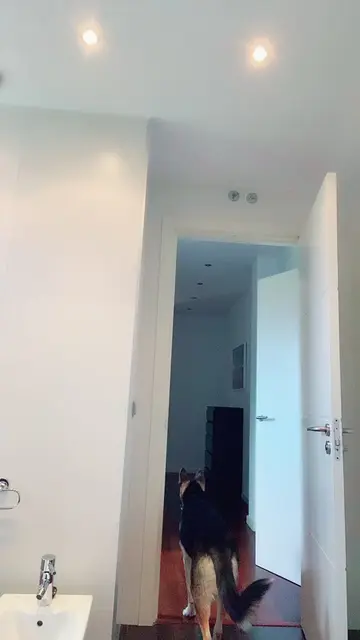 Video 6943311728696446214