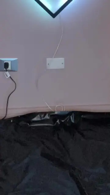Video 6984015332344171782