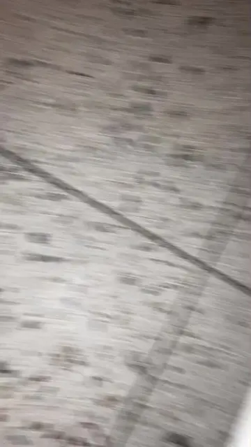 Video 7015967450751569158