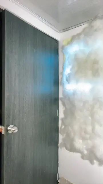 Video 7024164432582282502