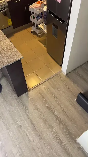 Video 7096635875173371142