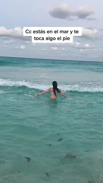 Video 7098126932910312710