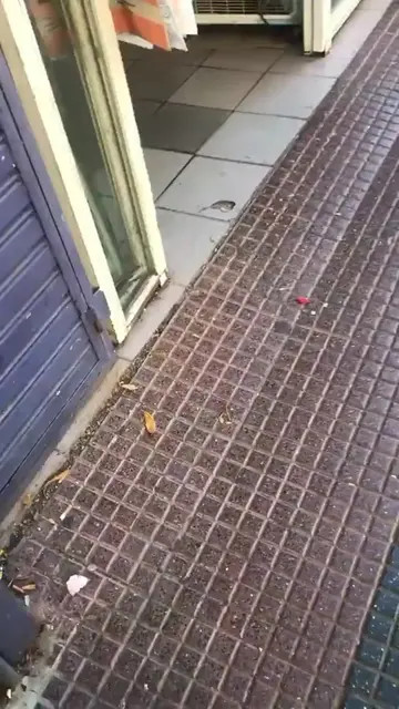 Video 7101724093438823685