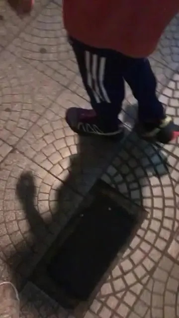 Video 7105148910733135106