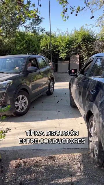 Video 7145971950018415877
