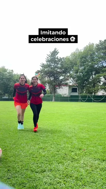 Video 7156023123383471365