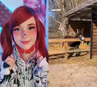 Video 7165608923456720134