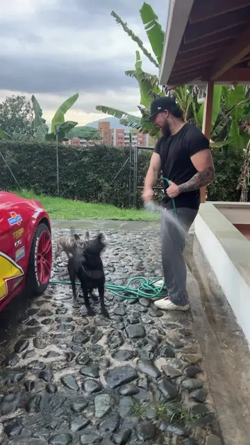 Video 7176404410501762309