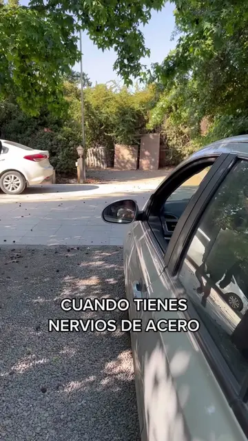 Video 7176410038410677510