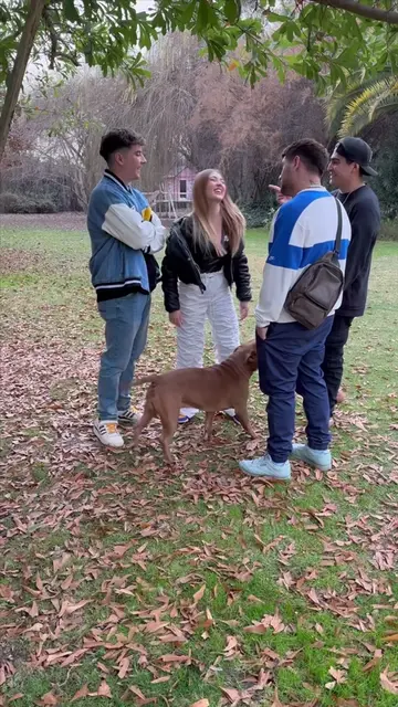 Video 7252889994258287878