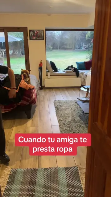 Video 7254704822430043398