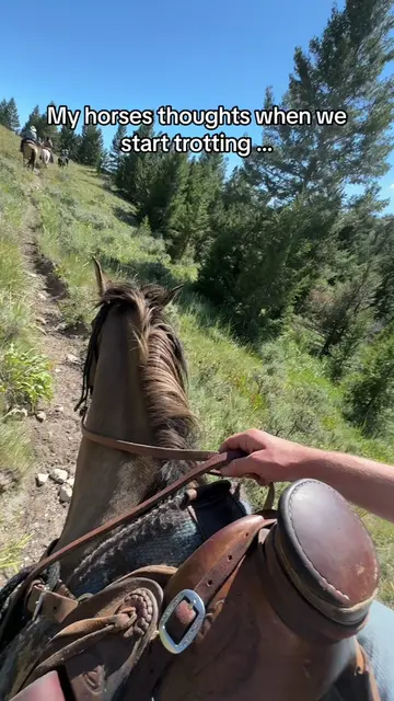 Video 7269417039855389998