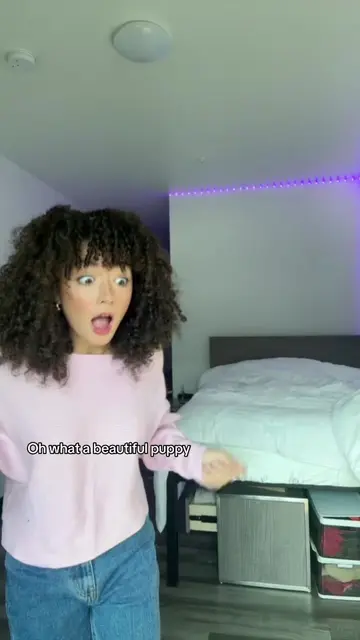 Video 7281697403340590382