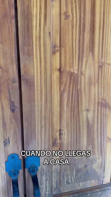 Video 7343028818812128518