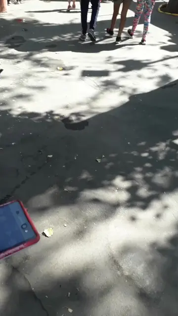 Video 7379461123160018181