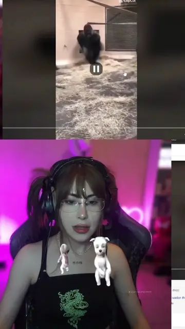 Video 7381466671388609798