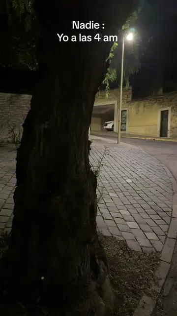 Video 7388563221491436806