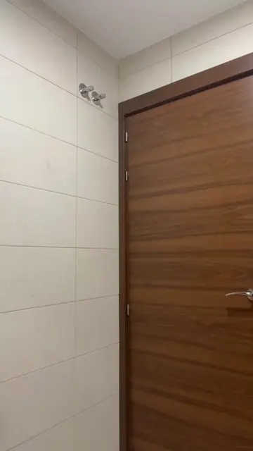 Video 7392226506459663649