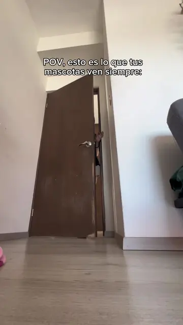 Video 7434682117872766264