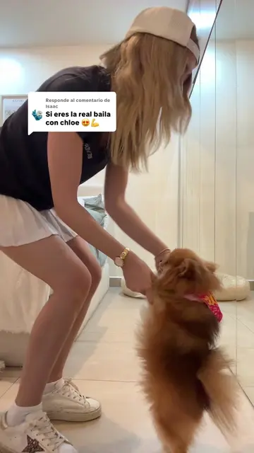 Video 7518650639086390535