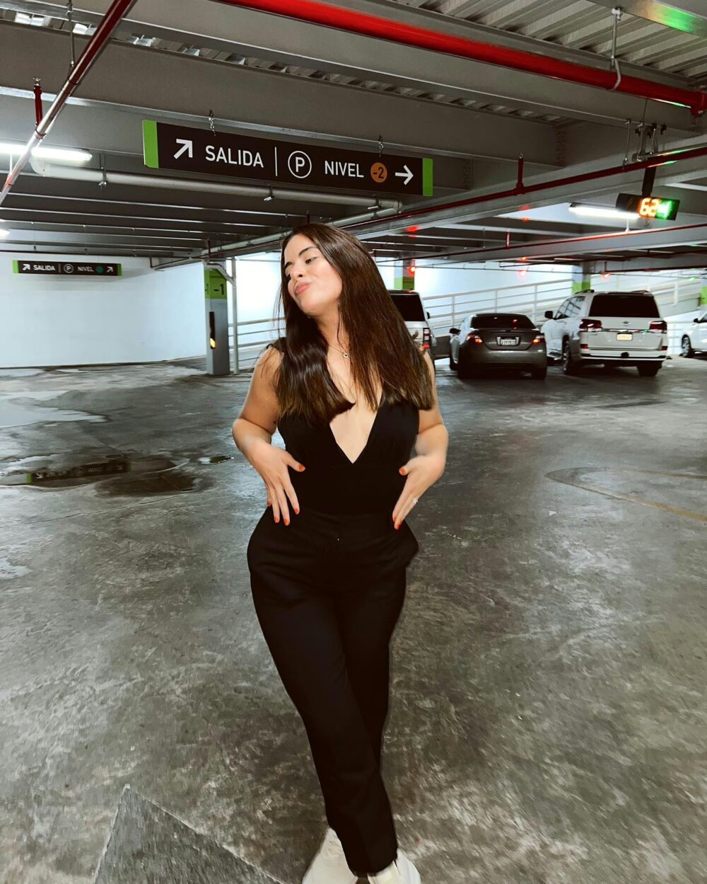 Vaca Loca